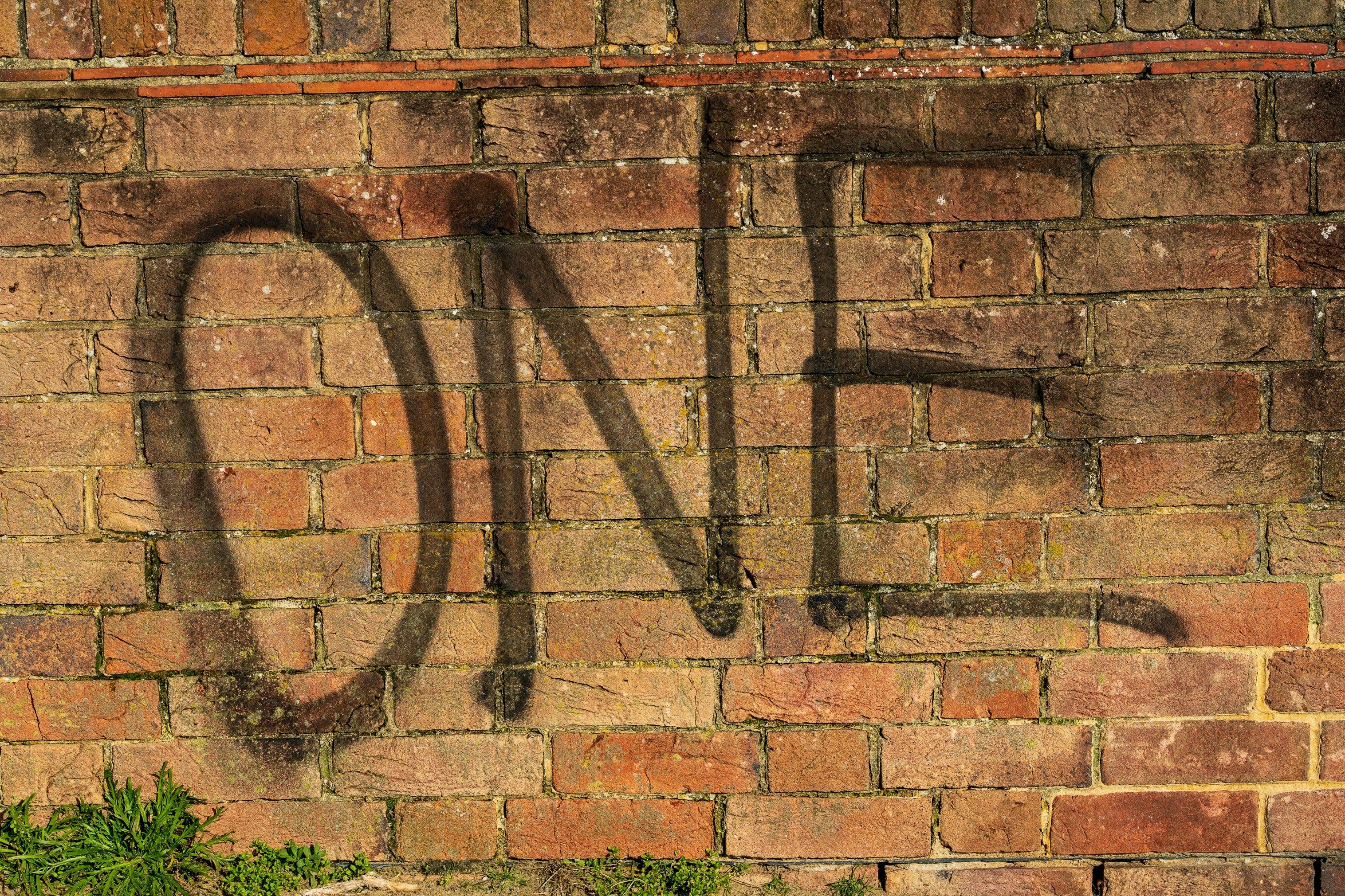 Progressive reflections on the lectionary #66